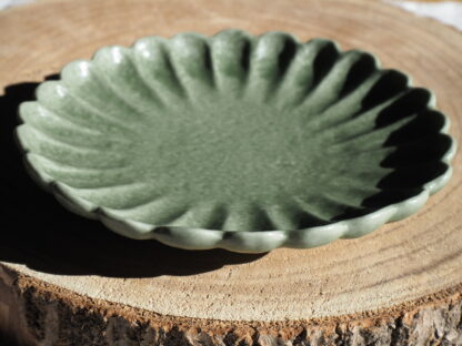Chrysanthemum Type Plate - Image 5